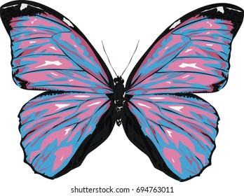 Vector Butterfly - Pink and blue Butterfly 