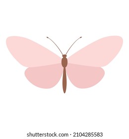 Vector butterfly with pink wings without a pattern.