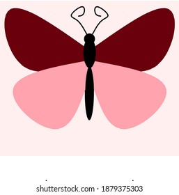 vector butterfly with pretty wings