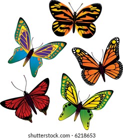 Vector butterfly set