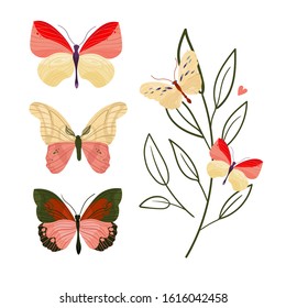 Vector butterfly set on white background. Flower. Bright colorful spring.
