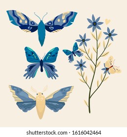 Vector butterfly set on white background. Flower. Bright colorful spring.