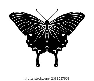 Vector butterfly sign. Swallowtail butterfly with beautiful decorative wings. Hand drawn of silhouette tropical elegant insect, top view isolated. Flying exotic spring insect. Vector illustration