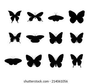 vector of  Butterfly silhouette