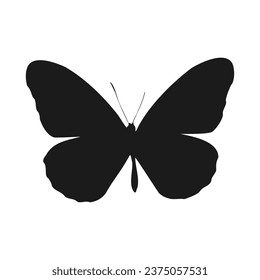 Vector butterfly silhouettes on white background.