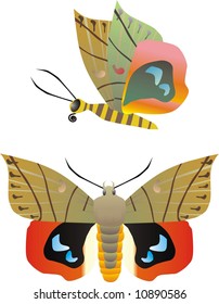 Vector butterfly in two positions