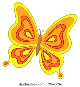 Vector, butterfly with various colorful wings on a white background