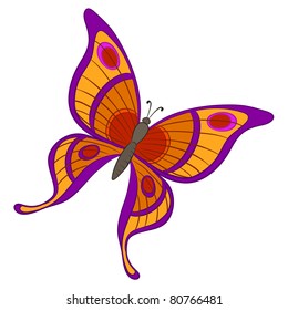 Vector, butterfly with various colorful wings on a white background