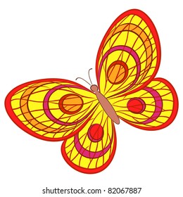 Vector, butterfly with various colorful wings on a white background