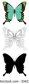 vector butterfly with white background.