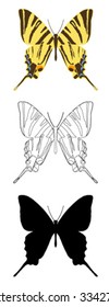 vector butterfly with white background.