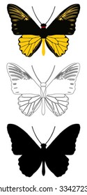 vector butterfly with white background.