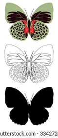 vector butterfly with white background.