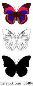 vector butterfly with white background.