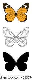 vector butterfly with white background.