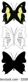 vector butterfly with white background.