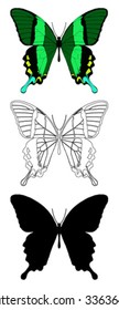 vector butterfly with white background.