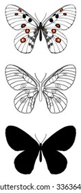 vector butterfly with white background.