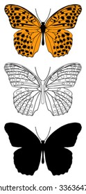 vector butterfly with white background.