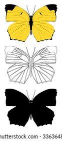 vector butterfly with white background.