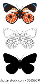 vector butterfly with white background.