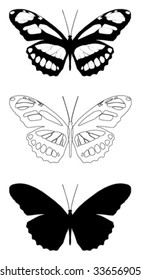 vector butterfly with white background.