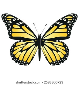 Vector Butterfly with wide wings and charming yellow color