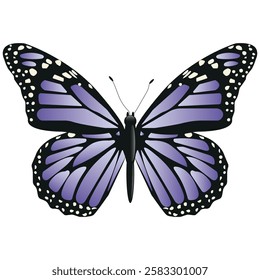 Vector Butterfly with wide wings and charming purple color. Colorful Moth with a colorful pattern. Abstract wings. Exotic decor from moths. Elegant flying insect