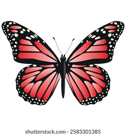 Vector Butterfly with wide wings and charming red color. Colorful Moth with a colorful pattern. Abstract wings. Exotic decor from moths. Elegant flying insect