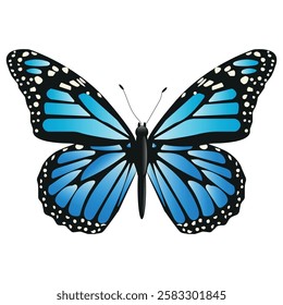 Vector Butterfly with wide wings and charming blue, cyan color. Colorful Moth with a colorful pattern. Abstract wings. Exotic decor from moths. Elegant flying insect