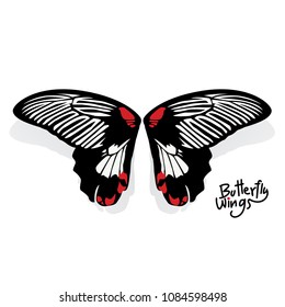 vector butterfly wings black white and red nature 