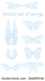 Vector butterfly wings set on white background