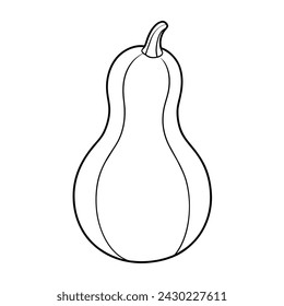 Vector of butternut squash illustration coloring page for kids