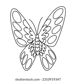 Vector cabbage butterfly coloring page. Hand drawn butterfly sketch on white background