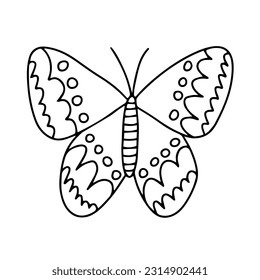 Vector cabbage butterfly coloring page. Hand drawn butterfly sketch on white background