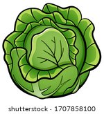 Vector cabbage design drawing isolated