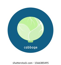 Vector cabbage icon isolated on white background.  Flat blue circle icon with vegetable. Healthy food. 