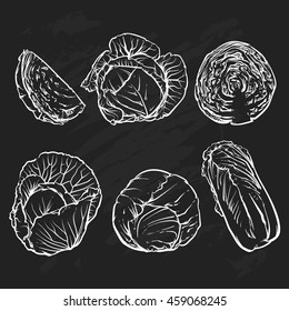 Vector cabbage isolated on a black background. Hand drawn sketch style cabbages set. Isolated vegetable engraved style objects. 