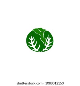 Vector cabbage or lettuce illustration