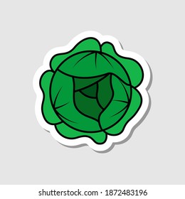 Etiqueta de repollo vectorial al estilo de las caricaturas. Hortalizas aisladas con sombra. Icono simple plano con líneas negras