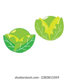 vector cabbages or vector illustration of green vegetables