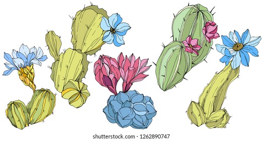 Vector Cacti floral botanical flower. Wild spring leaf wildflower isolated. Green and blue engraved ink art. Isolated cacti illustration element.