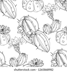 Vector Cacti floral botanical flower. Wild spring leaf wildflower isolated. Black and white engraved ink art. Seamless background pattern. Fabric wallpaper print texture.