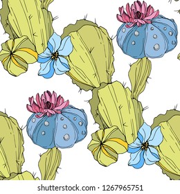 Flor botánica floral vectorial Cacti. Flor silvestre de hojas de primavera silvestre aislada. Arte de tinta con grabado verde y azul. Patrón de fondo sin foco. Textura de impresión de papel tapiz de tela.