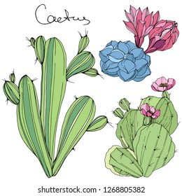 Vector Cacti floral botanical flower. Wild spring leaf wildflower isolated. Green and blue engraved ink art. Isolated cacti illustration element.