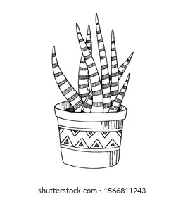 Vector Cacti floral botanical flowers. Wild spring leaf wildflower isolated. Black and white engraved ink art. Isolated cactus illustration element.