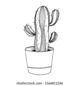 Vector Cacti floral botanical flowers. Wild spring leaf wildflower isolated. Black and white engraved ink art. Isolated cactus illustration element.