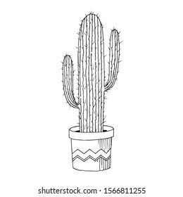 Vector Cacti floral botanical flowers. Wild spring leaf wildflower isolated. Black and white engraved ink art. Isolated cactus illustration element.