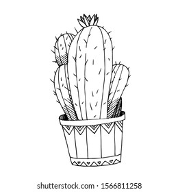 Vector Cacti floral botanical flowers. Wild spring leaf wildflower isolated. Black and white engraved ink art. Isolated cactus illustration element.
