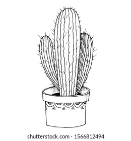 Vector Cacti floral botanical flowers. Wild spring leaf wildflower isolated. Black and white engraved ink art. Isolated cactus illustration element.